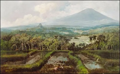 Quelle échelle mesure la force des tremblements de terre ?