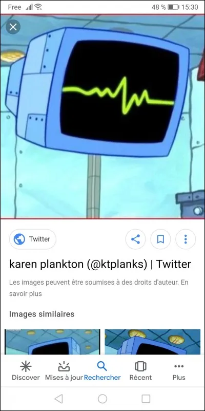 Comment s'appelle la femme de Plankton ?