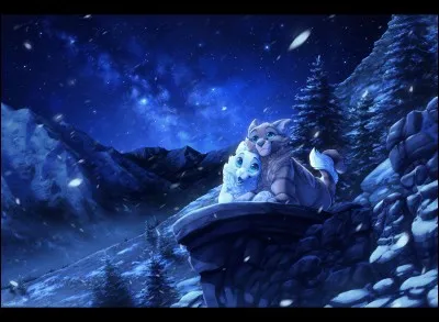 Quel est ton clan pr&eacute;f&eacute;r&eacute; ?