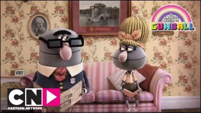 Comment s'appelle la femme de monsieur Robinson ?