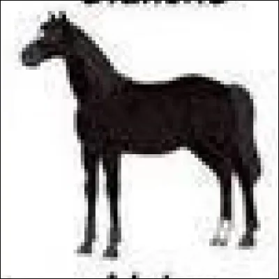 Quelle est la robe de ce cheval ?