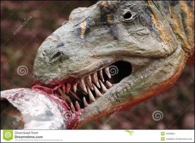 Quel est l'animal le plus agressif ?