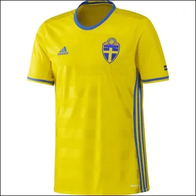 Quelle &eacute;quipe poss&egrave;de ce maillot ?