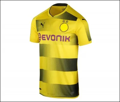 Quelle &eacute;quipe poss&egrave;de ce maillot ?