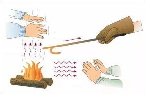 Quiz Sciences