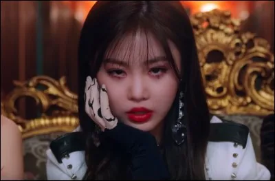 Qui adore le chocolat ?