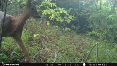 Acteur américain, ancien catcheur, il a joué dans 007 Spectre, La saga Avengers, le Roi Scorpion, Les Gardiens de la Galaxie et j'en passe !