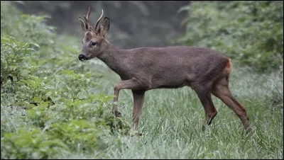 Sport nautique d'équipe !