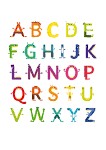 Quiz Definitions