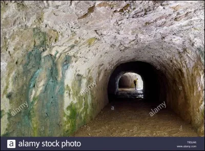 Qui dénonce l'existence des tunnels ?