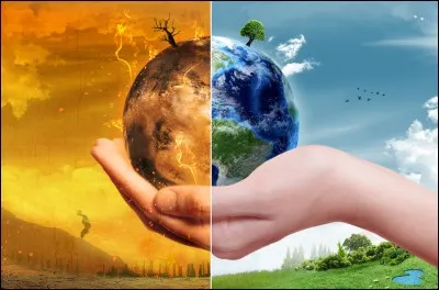 Selon toi, quelles cons&eacute;quences pourraient d&eacute;couler de la disparition de nombreuses esp&egrave;ces animales et v&eacute;g&eacute;tales (= ce qu'on appelle la &laquo; perte de labiodiversit&eacute; &raquo;) ? (plusieurs r&eacute;ponses possibles)