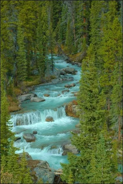Pour lui, elle chante, la rivière insolente :