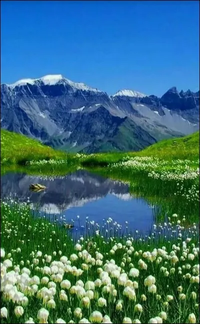 Jean Ferrat, lui, préférait sa montagne qu'il décrivait si bien dans sa chanson dont vous allez compléter les paroles : "Mais ils savaient tous à propos tuer ......... et manger la tomme de chèvre" :