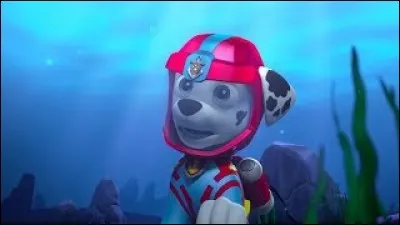 Science de la vie et de la Terre - Quelle affirmation est fausse concernant l'utilité d'un sismographe ?