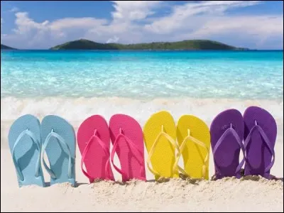 Mathématique : Paul achète trois T-shirts 25,99 , avec son chèque cadeau anniversaire il a droit une remise de 50 %. Combien Paul payera-t-il à la caisse ?