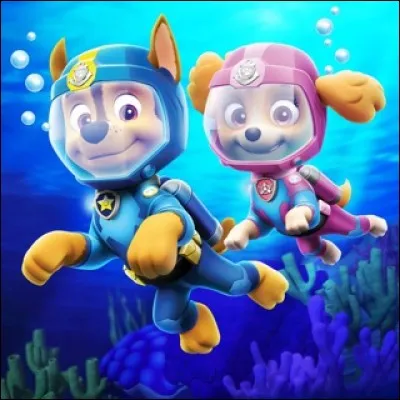 Géographie - Combien de membres l'Union Européenne possède-t-elle actuellement ? 
Indice : Après le Brexit le 23 juin 2016.