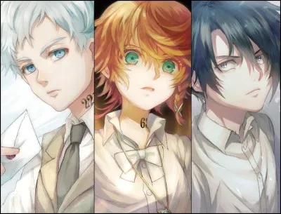 Le score maximal des tests est...