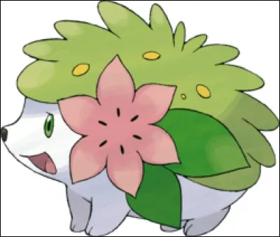 Quelle ville Shaymin aurait-il aidée ?