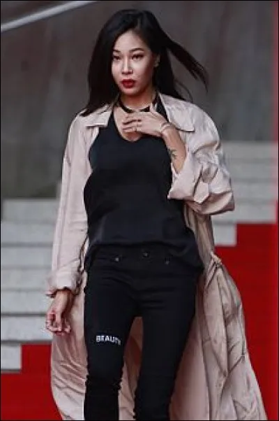 Combien de chansons a-t-elle publiées dans sa carrière, en tant que rappeuse ?