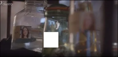 Quel est l'animal qui se trouve dans le bocal (entre les 2 soeurs) ?