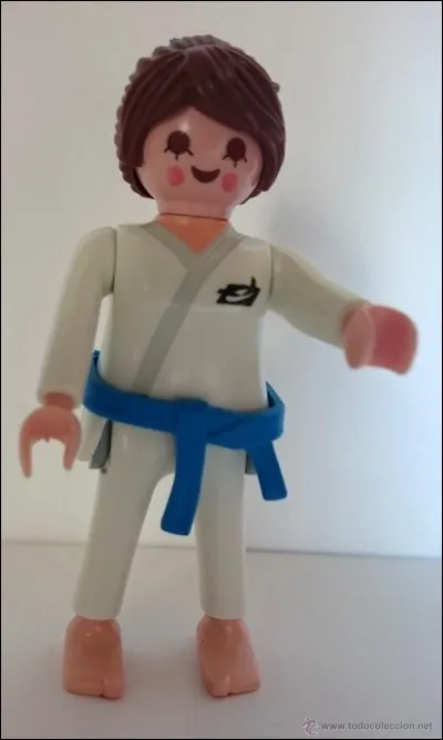 Quel sport pratique ce Playmobil ?