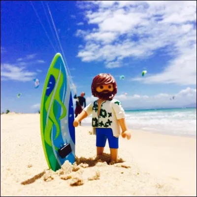 Quel est ce sport Playmobil ?