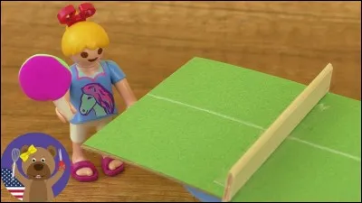 Quel est ce sport Playmobil ?