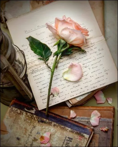 À qui doit-on "La Guerre des boutons" ?