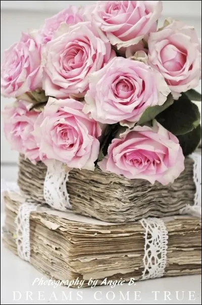 Qui est l'auteur de "La Promesse de l'Aube" ?