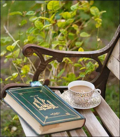 À qui doit-on "Le Petit Chose" ?