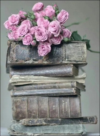 Qui est l'auteur des "Illusions perdues" ?