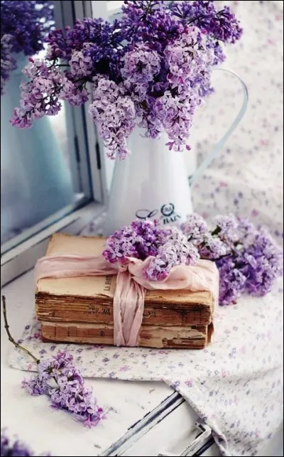 Qui est l'écrivain de "L'Âne Culotte" ?