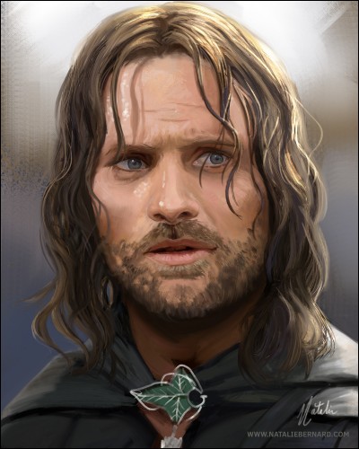 Dans quel univers peut-on voir Aragorn ?