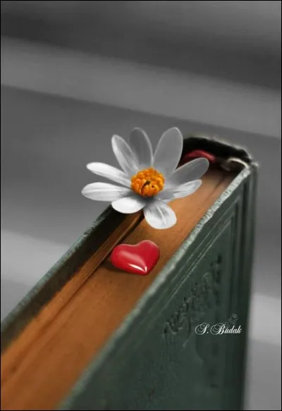 Qui est l'&eacute;crivain des "Rivi&egrave;res pourpres" ?