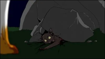 Complétez : ".... est mort dans le tome 1"