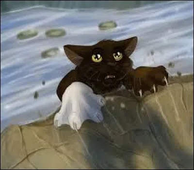 Comment est mort Griffe Blanche ?