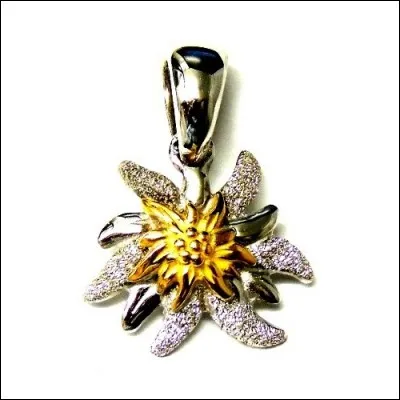 Quel métal est associé à l'autre nom de l'edelweiss ?