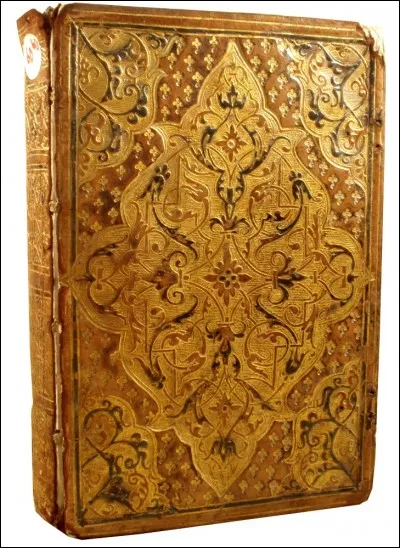 Quelle partie du corps de la fille, était d'or, dans le titre d'une uvre de Balzac ?