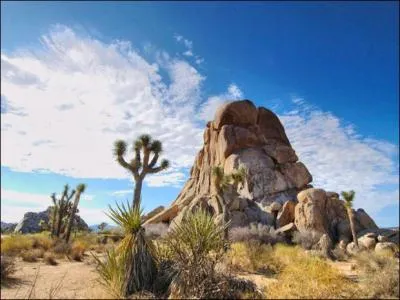 Quel est le climat de la Californie ?