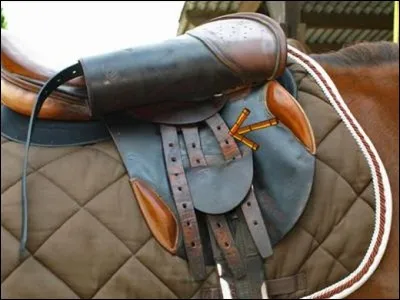 Comment s'appelle la partie montrée par la flèche ?