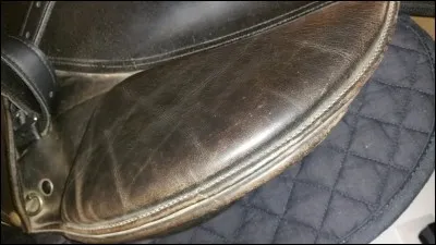 Comment s'appelle cette partie de selle ?