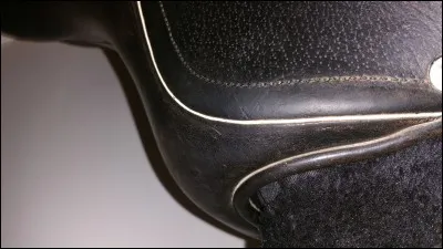 Comment s'appelle cette partie de selle ?