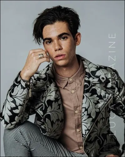 À quel âge commence-t-il sa carrière de mannequin ?