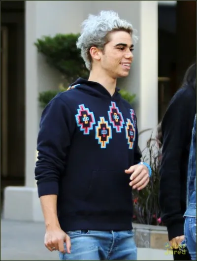 Dans quel téléfilm Disney joue-t-il ?