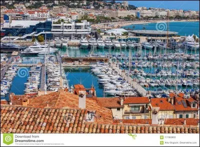 Quel sorte de port est le vieux port ?