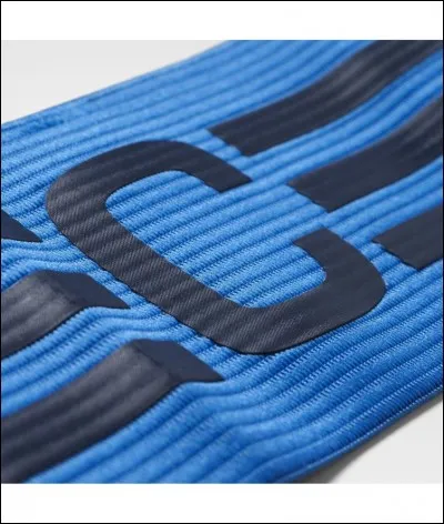 Qui est le capitaine de la sélection espagnole ?