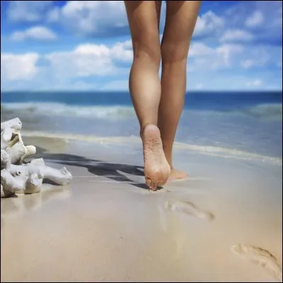 Comment s'appelle ceci en anglais ?