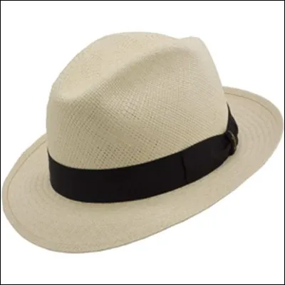 Comment s'appelle ceci en anglais ?