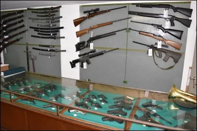 Outre les armes du navire, les hommes à bord peuvent se servir en munition, mais aussi en armes à feu ou encore en armes blanches. Ceci est...