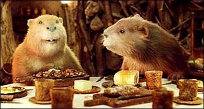 Qui sont ces Castors ?